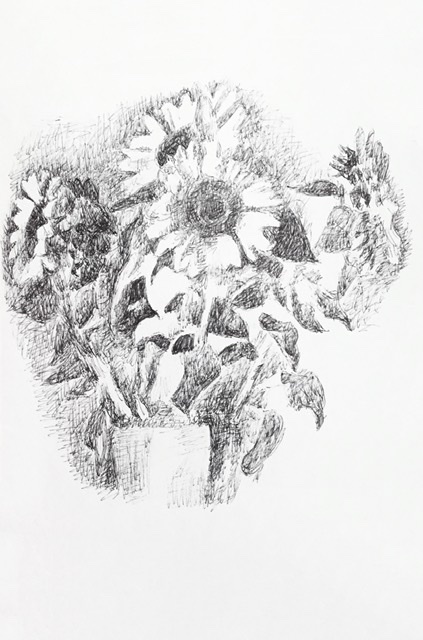 Tournesol. Dessin au Stylo.