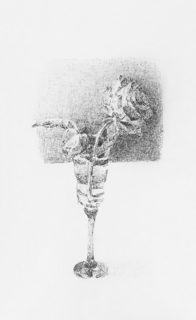 Rose. Dessin au Stylo.