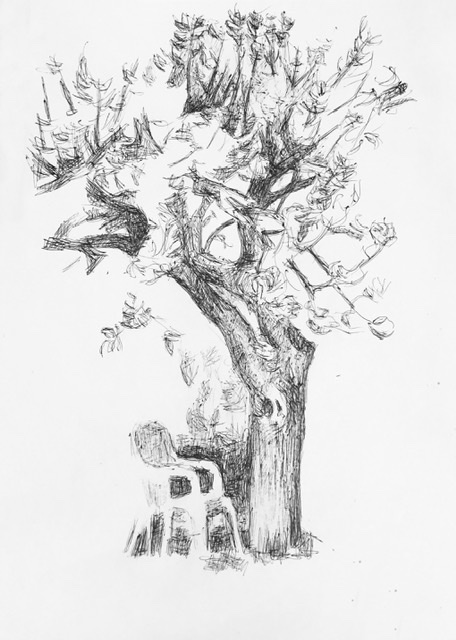 Le pommier. Stylo sur papier.