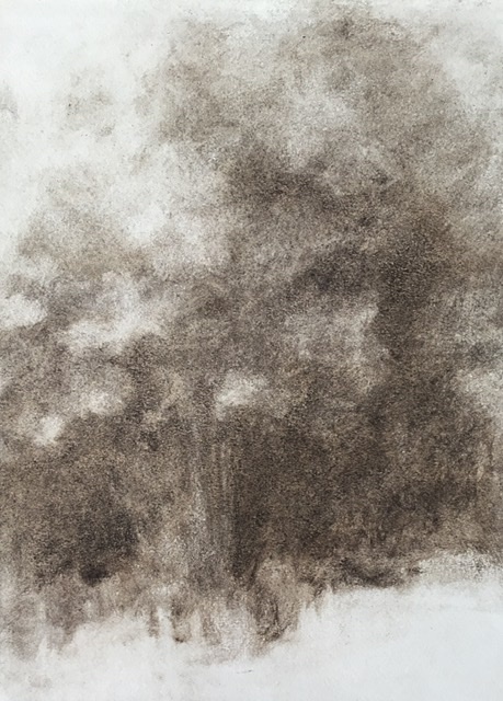 Fusain sur papier. 32 x 20 cm